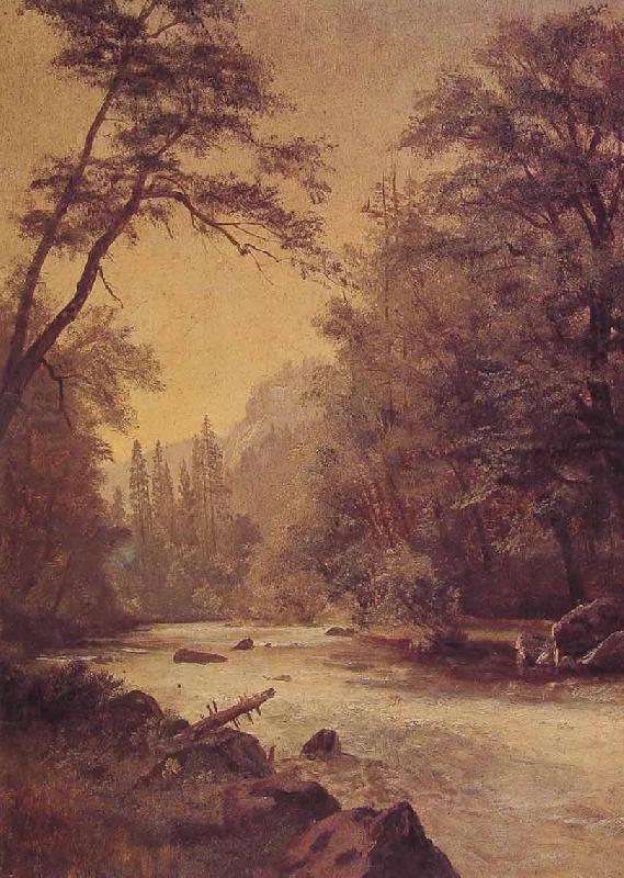 Albert Bierstadt Lower Yosemite Valley oil painting image